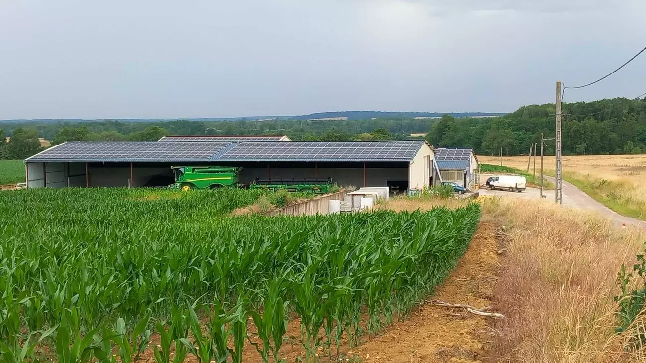 Panneaux bas carbone Solarwatt en milieux agricole